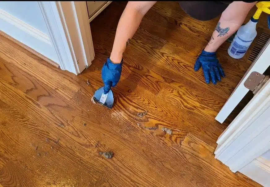 Screen and recoat service